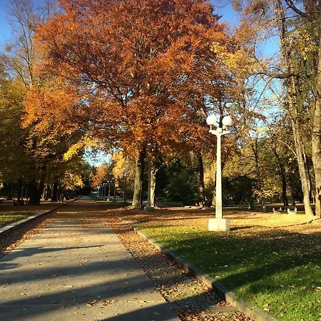 Tavas Central Park *