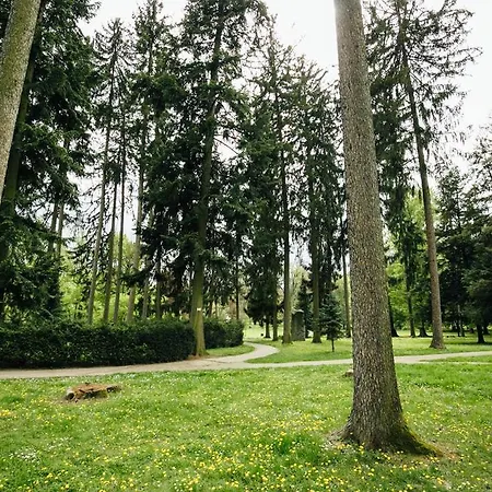 Tavas Central Park