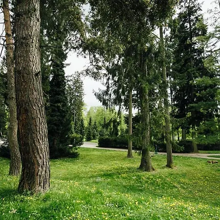 Tavas Central Park * Марибор